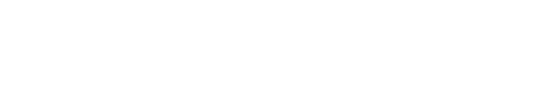 Biden Institute